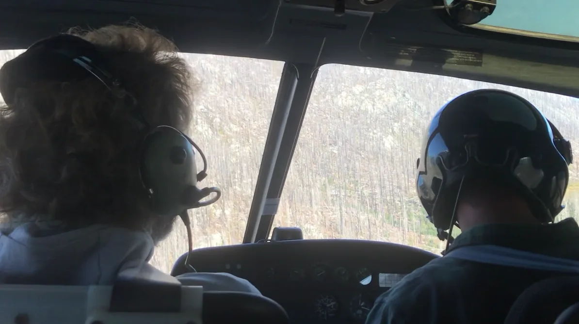 Tree planting crew travelling by helicopter over a forested work site